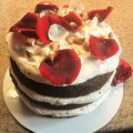 tort (22)