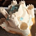 tort (30)